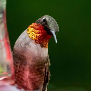 Meet your Posher, Jane